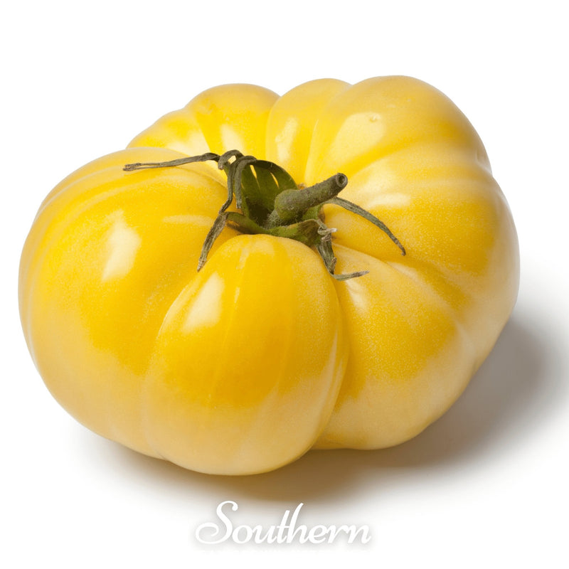 Load image into Gallery viewer, Yellow Brandywine Tomato – 50 Seeds
