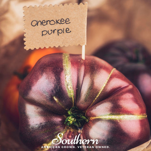 Cherokee Purple Tomato 50 Seeds