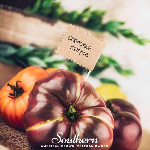 Cherokee Purple Tomato – 50 Seeds, additional product view 2