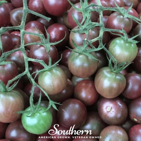 Chocolate Cherry Tomato – 25 Seeds, additional product view 2