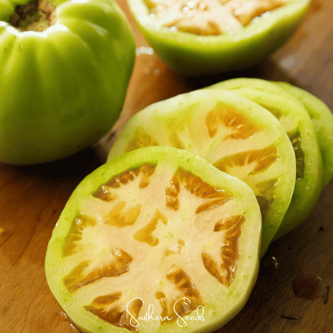 Evergreen Tomato 50 Seeds
