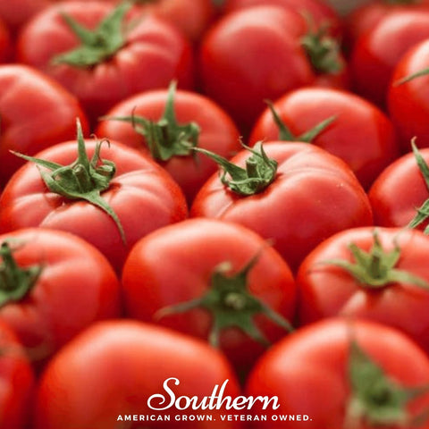 Floridade Tomato – 50 Seeds, additional product view 2