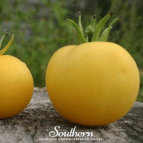 Garden Peach Tomato 50 Seeds