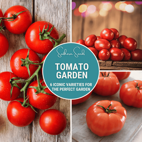Tomato Garden Seed Collection 6 Varieties