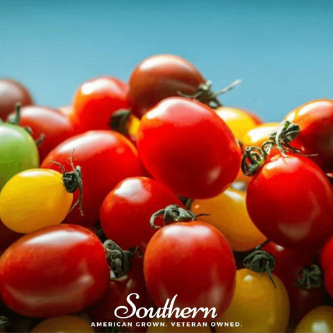 Rainbow Cherry Tomato – 50 Seeds, additional product view 2