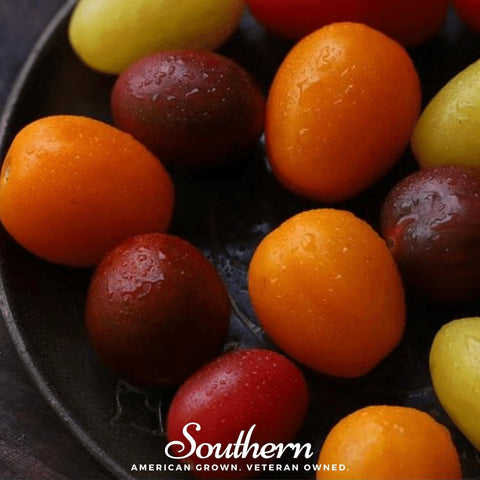Rainbow Cherry Tomato 50 Seeds