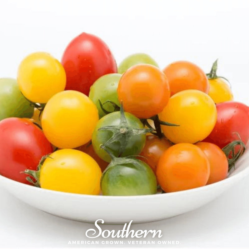 Load image into Gallery viewer, Rainbow Cherry Tomato – 50 Seeds
