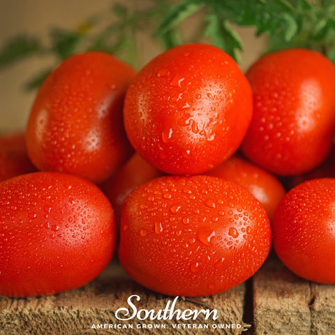 Roma VF Tomato seeds package, 50 count, GrowTime Garden Supply