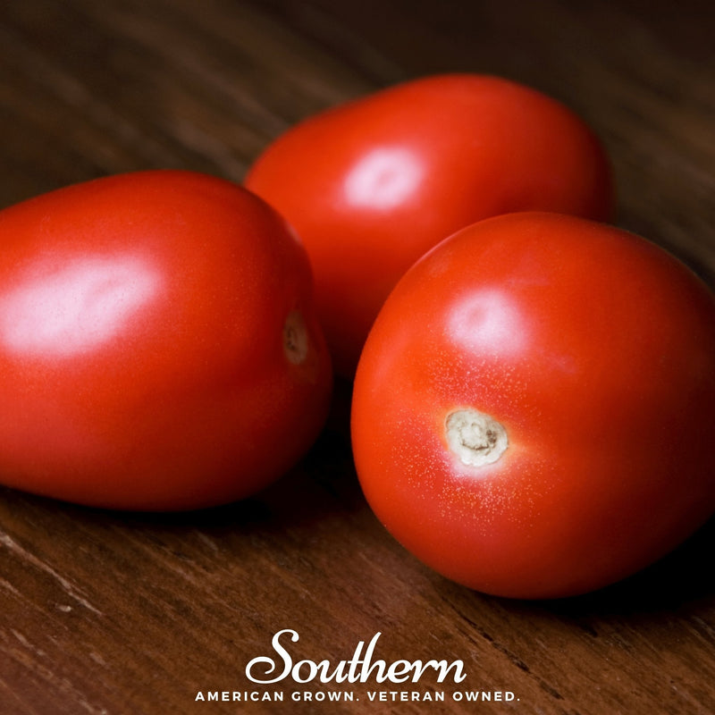 Load image into Gallery viewer, Roma VF Tomato – 50 Seeds
