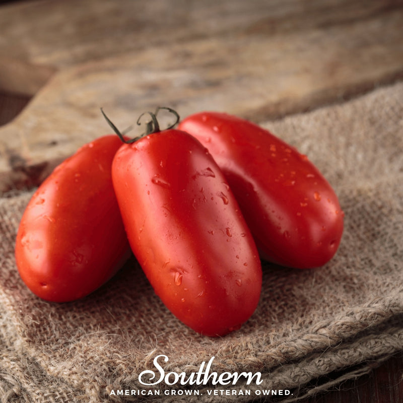 Load image into Gallery viewer, San Marzano Tomato – 50 Seeds
