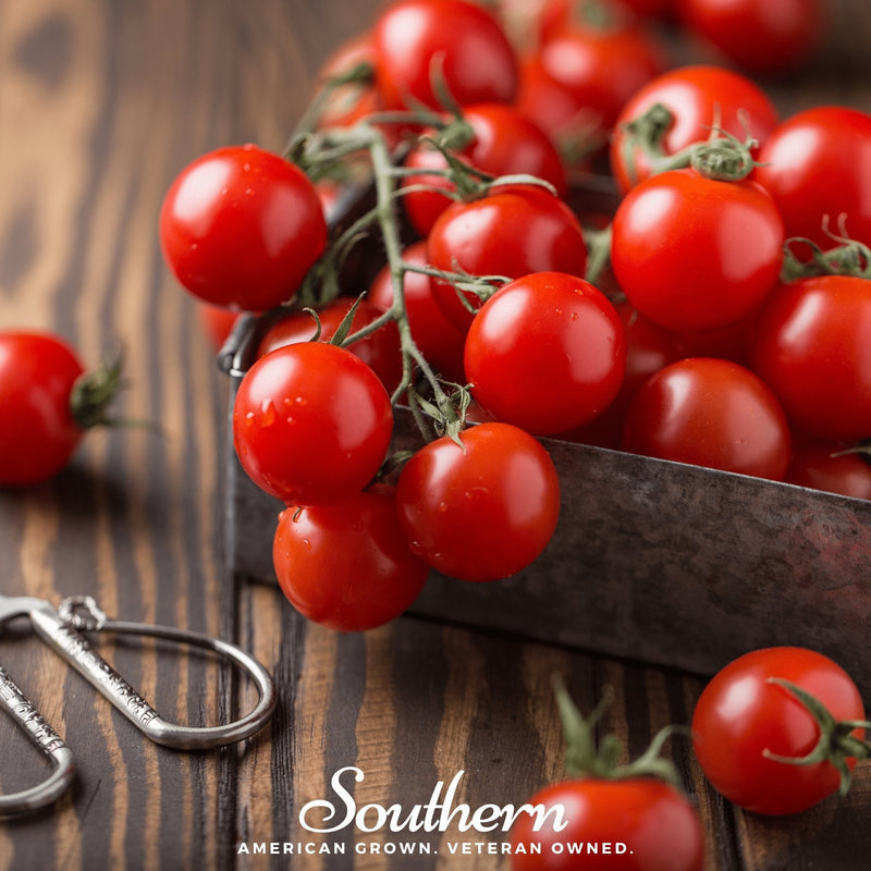 Load image into Gallery viewer, Small Red Cherry Tomato – 50 Seeds
