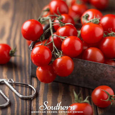 Small Red Cherry Tomato seeds package, 50 count, GrowTime Garden Supply