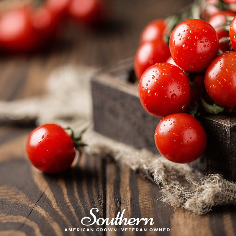 Load image into Gallery viewer, Small Red Cherry Tomato – 50 Seeds
