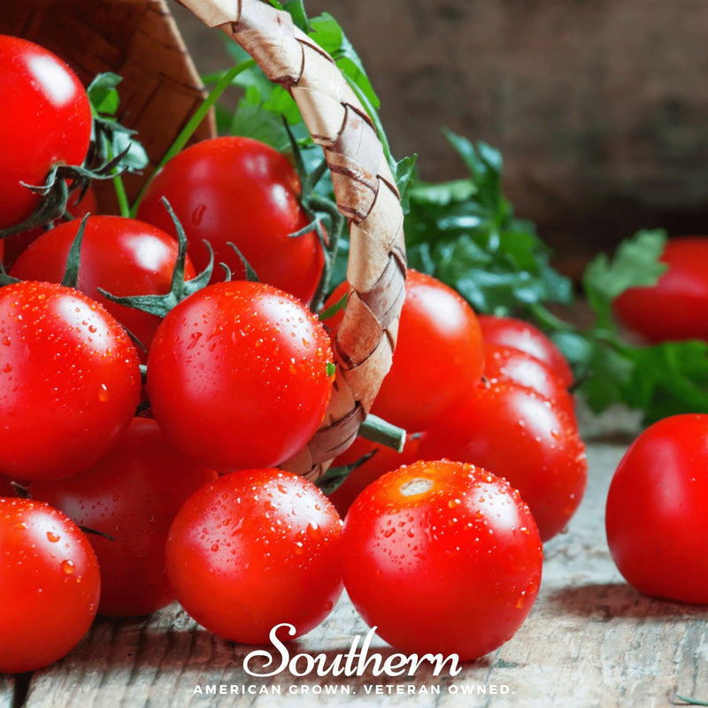 Load image into Gallery viewer, Small Red Cherry Tomato – 50 Seeds
