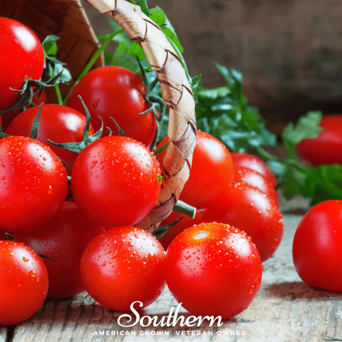 Small Red Cherry Tomato – 50 Seeds, additional product view 2