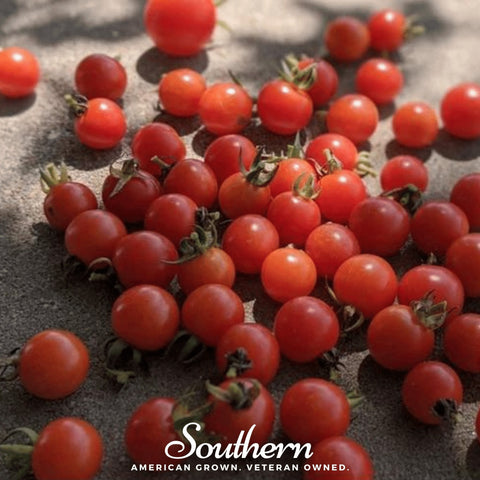Sweetie Tomato 50 Seeds