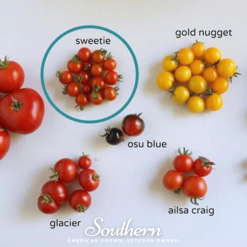 Load image into Gallery viewer, Sweetie Tomato – 50 Seeds
