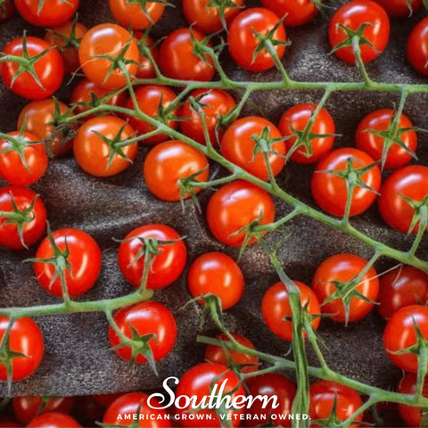 Sweetie Tomato – 50 Seeds, additional product view 2