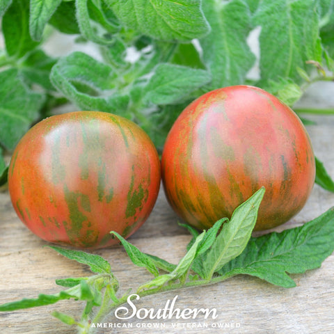 Tigerella Tomato – 50 Seeds, additional product view 2
