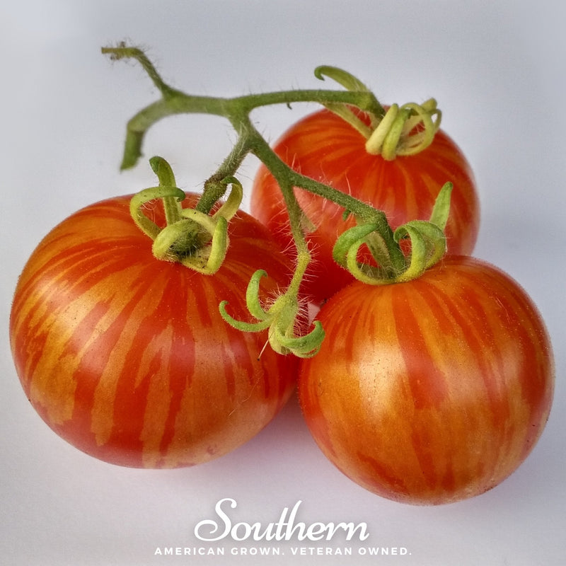 Load image into Gallery viewer, Tigerella Tomato – 50 Seeds
