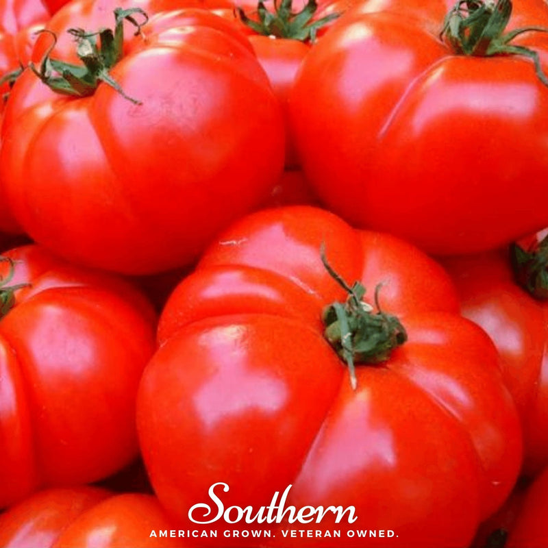 Load image into Gallery viewer, VR Moscow Tomato – 50 Seeds
