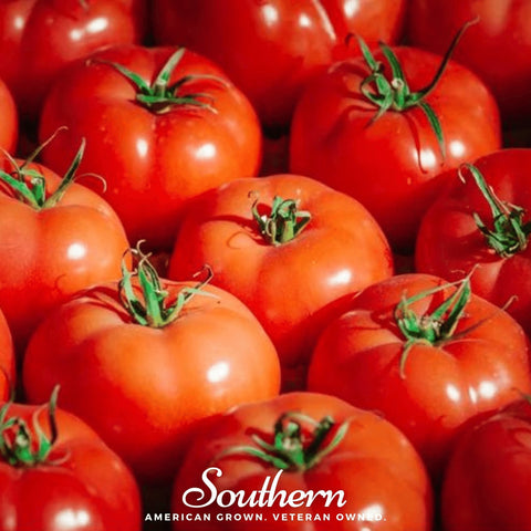 VR Moscow Tomato 50 Seeds