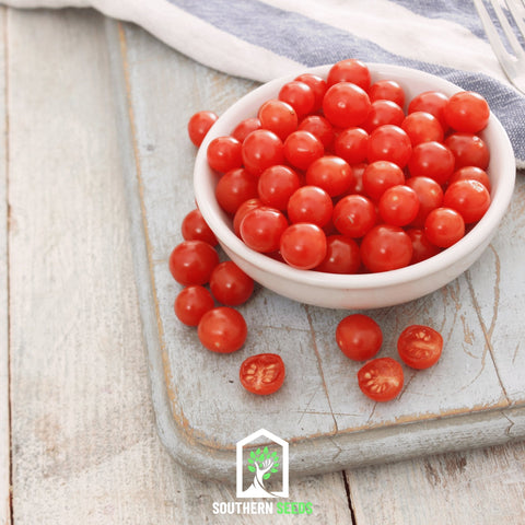 World's Smallest Tomato Tomberry 25 Seeds