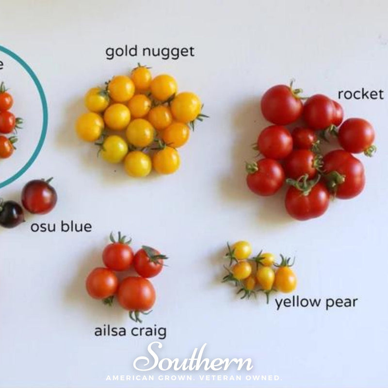 Load image into Gallery viewer, Yellow Pear Tomato – 50 Seeds
