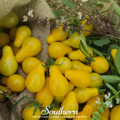 Yellow Pear Tomato – 50 Seeds, additional product view 2