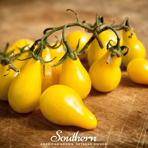 Yellow Pear Tomato 50 Seeds