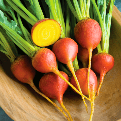 Touchstone Beet seeds package, 50 count, GrowTime Garden Supply