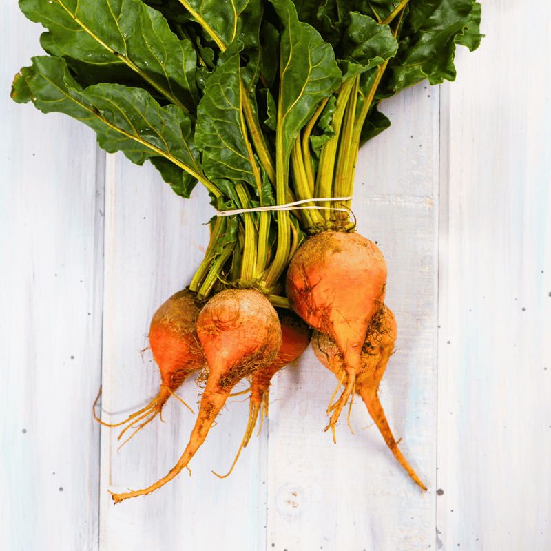 Load image into Gallery viewer, Touchstone Beet – 50 Seeds
