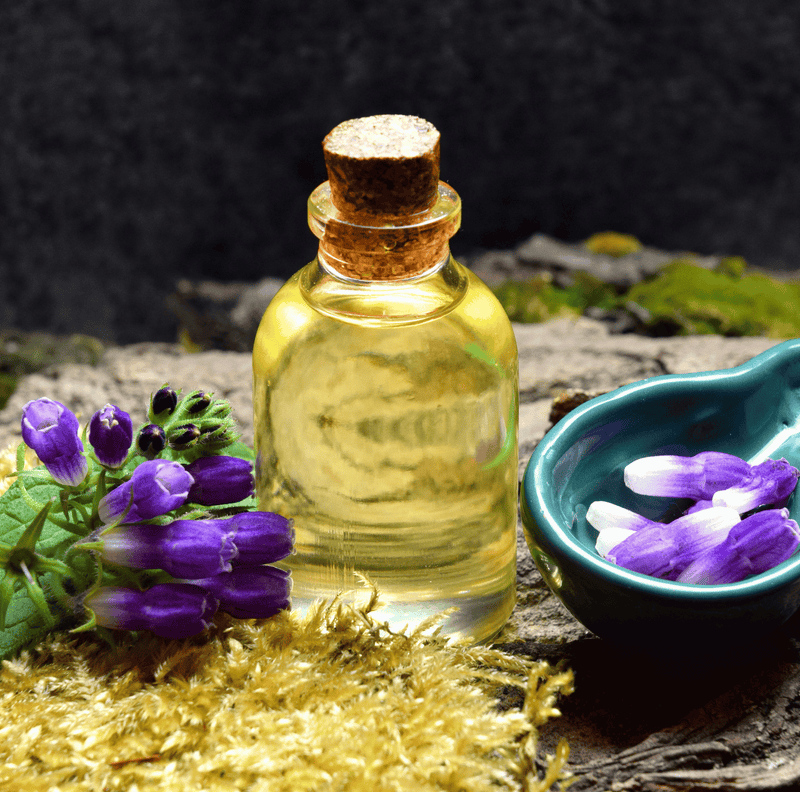 Load image into Gallery viewer, True Comfrey – 20 Seeds
