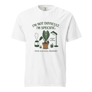 Heavyweight graphic tee reading I'm Not Dramatic I'm Specific.