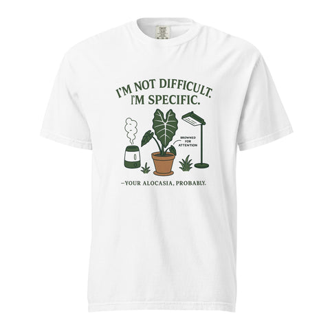 Heavyweight graphic tee reading I'm Not Dramatic I'm Specific.