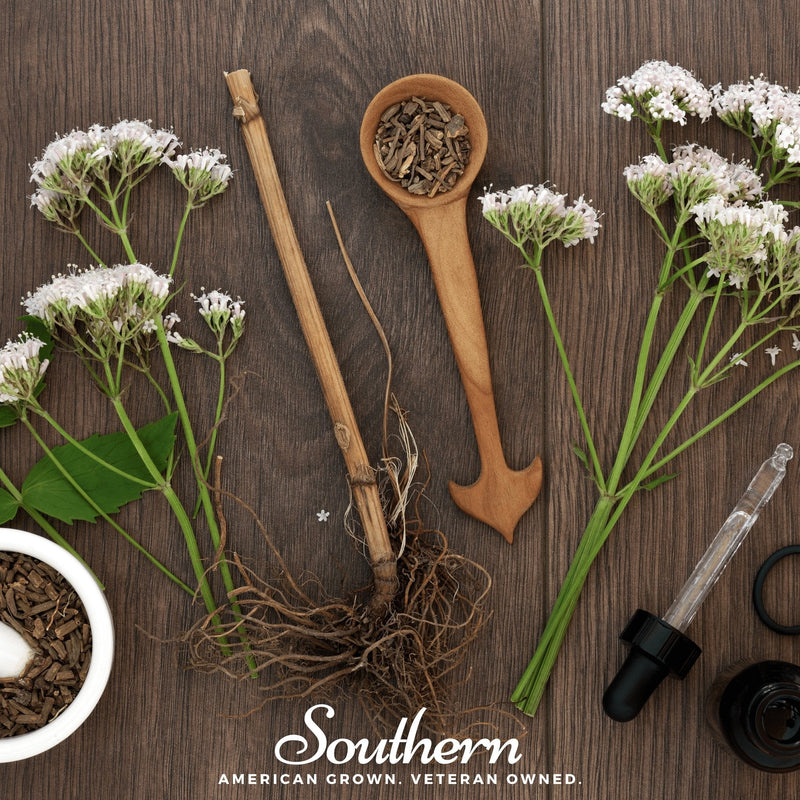 Load image into Gallery viewer, Valerian – 100 Seeds
