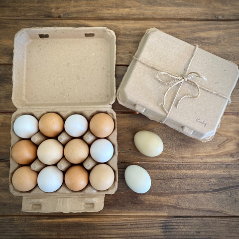 Henlay vintage blank egg cartons, classic design