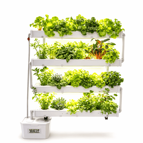 Wally 32 vertical hydroponic growing system
