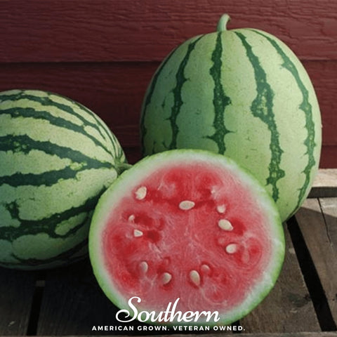 Dixie Queen Watermelon – 25 Seeds, additional product view 2