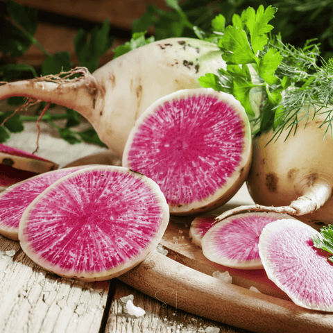 Watermelon Radish 50 Seeds