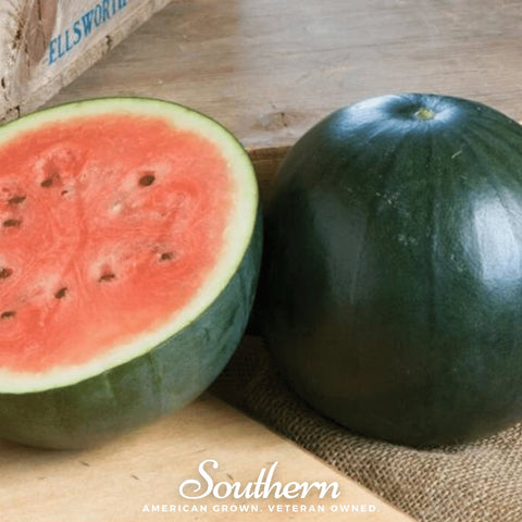 Sugar Baby Watermelon 25 Seeds