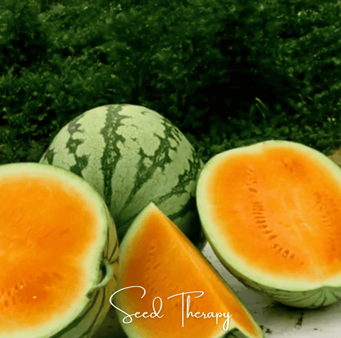 Tendersweet Orange Watermelon 25 Seeds