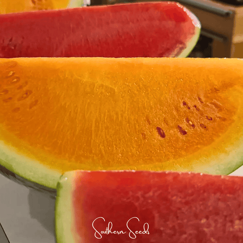 Tendersweet Orange Watermelon – 25 Seeds, additional product view 2