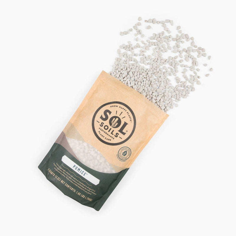 Load image into Gallery viewer, Product image of Sol Soils Pumice, front view
