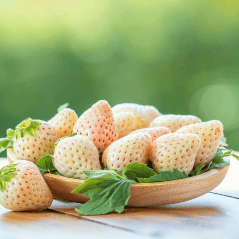 White Soul Strawberry 100 Seeds