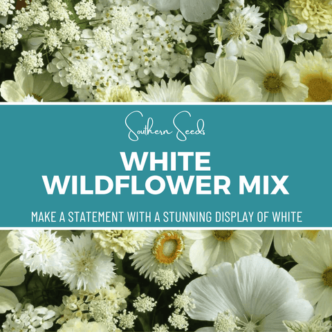 White Wildflower Seed Mix – 100 Seeds, additional product view 2