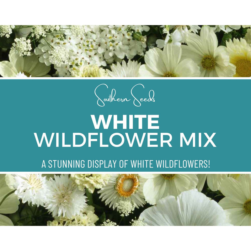 Load image into Gallery viewer, White Wildflower Seed Mix – 100 Seeds
