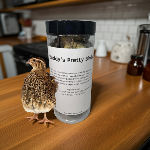 Freeze-dried whole quail, detail view