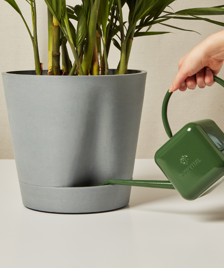 Load image into Gallery viewer, XL Peace Lily
