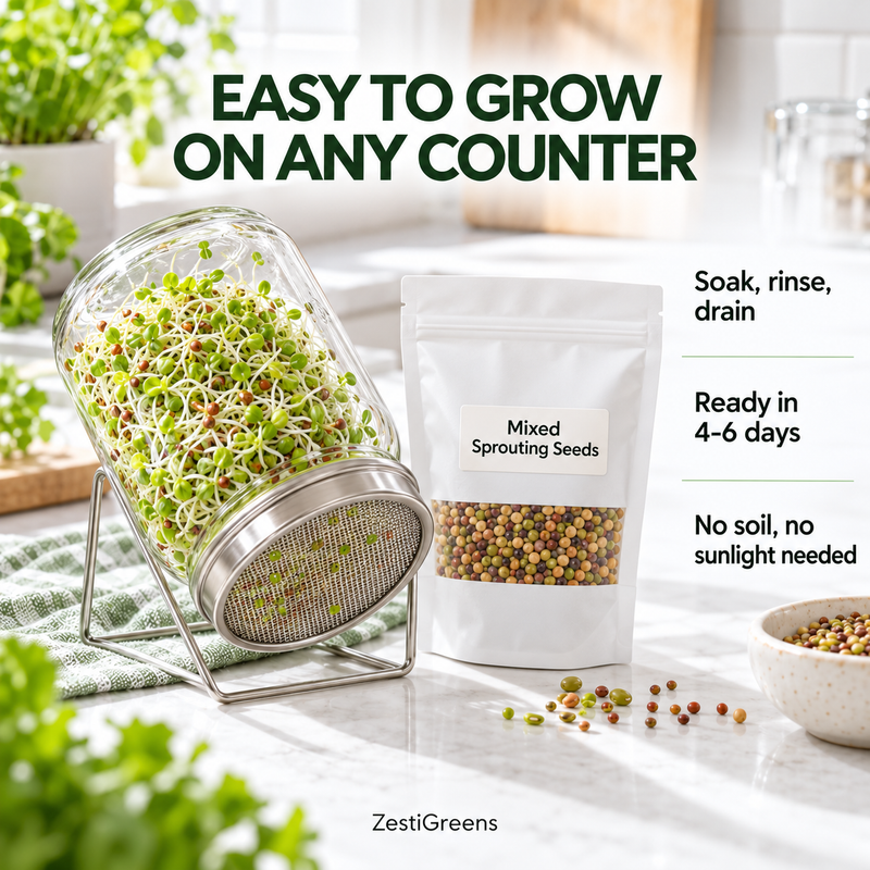 Load image into Gallery viewer, Mixed Sprouting Seeds Organic
